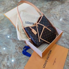 Louis Vuitton M46203 CarryAll PM photo review